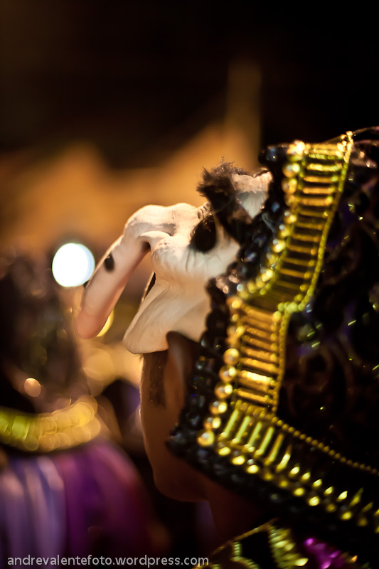Concentração do 1º dia Desfile das Escolas de Samba