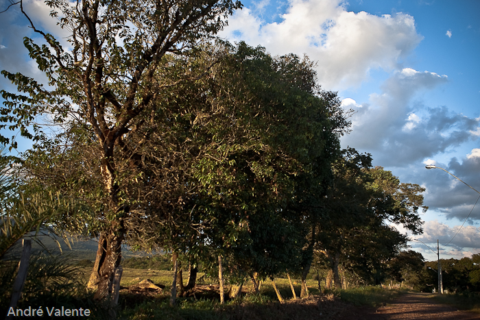 Brumadinho