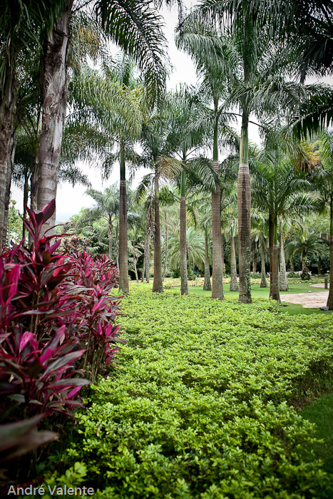 Instituto Inhotim