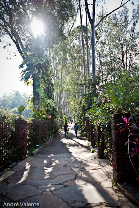 Instituto Inhotim