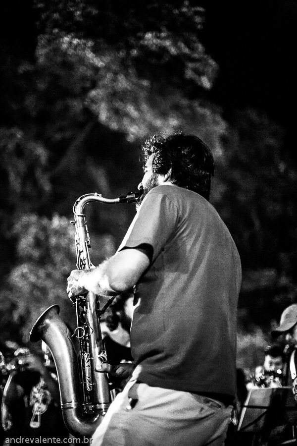 Honk Rio - Festival de Fanfarras